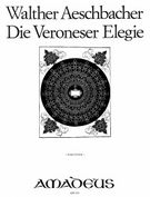 Veroneser Elegie : Für Streichorchester.