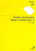 Ferne-Landschaft II : For Orchestra.