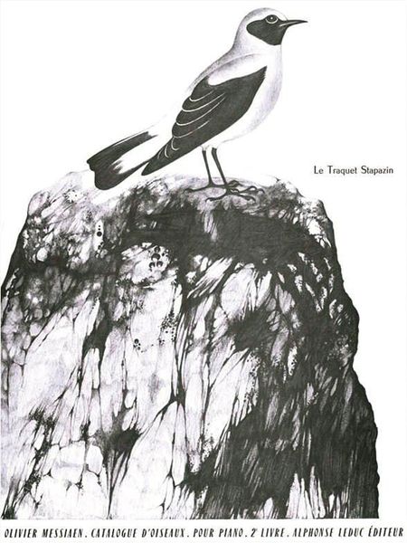 Catalogue Des Oiseaux, Book 2 : 4. le Traquet Stapazin.