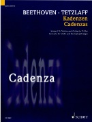 Cadenzas : Concerto For Violin and Orchestra In D Major, Op. 61 by Ludwig Van Beethoven.