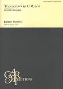 Trio Sonata In C Minor : For 2 Violins and Basso Continuo / edited by Alejandro Garri.