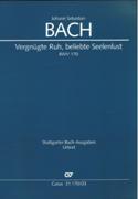 Vergnügte Ruh, Beliebte Seelenlust, BWV 170 / edited by Daniela Wissemann-Garbe.