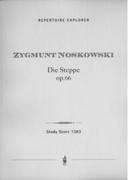 Steppe, Op. 66 : For Orchestra.