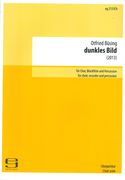 Dunkles Bild : For 8-Part Mixed Choir, Recorder (Garklein To Contra Bass) and Percussion (2013).
