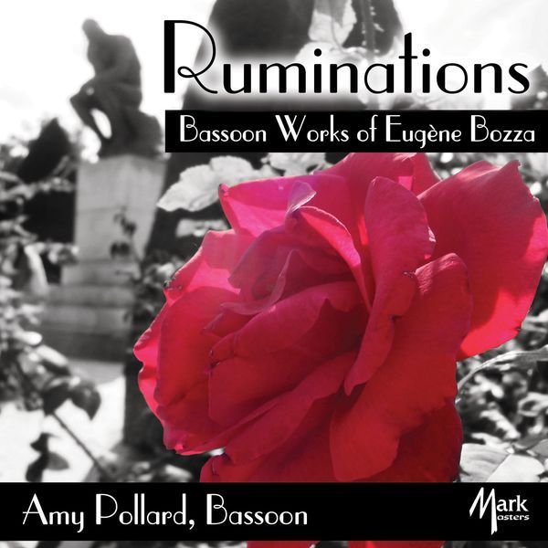 Ruminations : Bassoon Works / Amy Pollard, Bassoon.