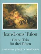 Grand Trio In Es-Dur, Op. 24 : Für Drei Flöten / edited by Bernhard Päuler.