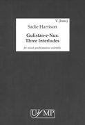 Gulistan-E-Nur : Three Interludes For Mixed Youth/Amateur Ensemble (2015).