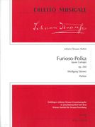 Furioso-Polka (Quasi Galopp), Op. 260 : Für Orchester / edited by Wolfgang Dörner.