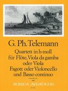 Quartet In B Minor : For Flute, Viola Da Gamba (Vla), Bassoon (Vcl) & B.C.