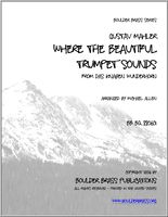 Where The Beautiful Trumpet Sounds : For Brass Quintet / arranged by Michael W. Allen.