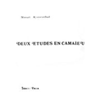 Deux Etudes En Camaïeu : Pour Orchestre De Cordes Et Timbales.