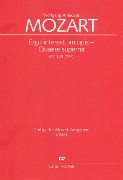 Ergo Interest, An Quis - Quaere Superna, K. 143 (73a) : Per Soprano Solo, 2 Violini, Viola, B. C.