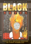 Black Notes : Essays Of A Musician Writing In A Post-Album Age.