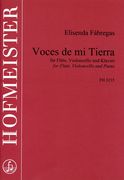 Voces De Mi Tierra : For Flute, Violoncello And Piano (2003).