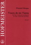 Voces De Mi Tierra : For Flute, Violoncello And Piano (2003).