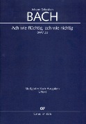 Ach Wie Flüchtig, Ach Wie Nichtig, BWV 26 / Edited By Till Reininghaus.