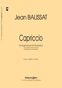 Capriccio : For Euphonium And Orchestra (2005).