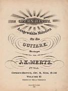 Opern-Revue, Op. 8, Vol. II, Nos. 9-16 : For Guitar / edited by Brian Torosian.