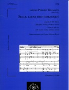 Seele, Lerne Dich Erkennen! : Cantata For High Voice, Treble Recorder (Violin) and Basso Continuo.