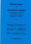 Brennender Balsam : Für Singstimme Und Klavier (2009).
