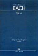 Trio In B : Per 2 Violini (Flauto, Violino) E Basso Continuo / edited by Peter Wollny.