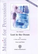 Lost In The Ocean : For 2 Vibes and 2 Marimbas.