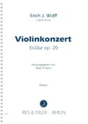 Violinkonzert Es-Dur, Op. 20 / edited by Peter P. Pachl.