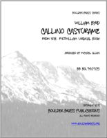 Callino Casturame : For Brass Quintet / arr. by Michael Allen.