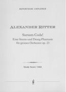 Sursum Corda!, Op. 23 - Eine Sturm-und Drang-Phantasie : Für Grosses Orchester.