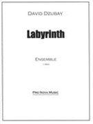 Labyrinth : For 15 Instruments (1994).