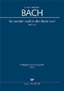 Sie Werden Euch In Den Bann Tun, BWV 44.