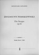 The Steppe, Op. 66 : For Orchestra.