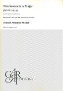Trio Sonata In A Major (Mwv 10.11) : For 2 Violins and Basso Continuo / edited by Alejandro Garri.