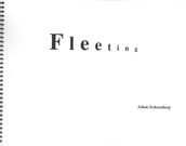 Fleeting : For B-Flat Clarinet, Violin, Violoncello and Piano (2003, 2005, Rev. 2008).