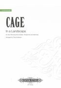 In A Landscape : For Solo Percussionist (Crotales, Vibraphone and Marimba) / arr. by Thad Anderson.