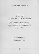 Wald-Symphonie In D-Moll No. 3 : Für Grosses Orchester.