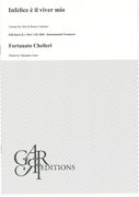 Infelice E Il Viver Mio : Cantata For Alto and Basso Continuo / Ed. Alejandro Garri.