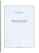 Medium, Big and Small : Duos For Flute, Alto Flute, Piccolo and Piano (2011).