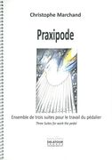 Praxipode : Ensemble De Trois Suites Pour le Travail Du Pédalier (2014-15).