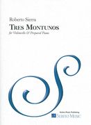 Tres Montunos : For Violoncello and Prepared Piano (2015-16).