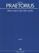 Allein Gott In der Höh Sei Ehr A 6. & 12. Sex Vocibus & Sex Instrumentis : Choralkonzert.