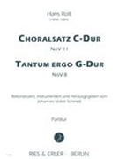 Choralsatz C-Dur, Nov 11; Tantum Ergo G-Dur, Nov 8 / edited by Johannes Volker Schmidt.