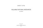 Valuable Natural Resources : For Sinfonietta (2004).