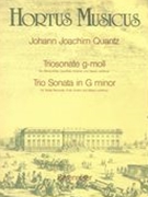 Triosonate, G-Moll : Für Altblockflöte, Querflöte (Violine) und Basso Continuo.