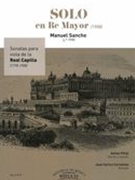 Solo En Re Mayor : Para Viola Y Piano (1908) / edited by Ashan Pillai and Juan Carlos Cornelles.