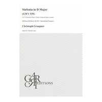 Sinfonia In D Major, GWV 539 : For 2 Flutes, 2 Horns, Strings and Continuo / Ed. Alejandro Garri.