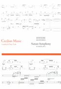 Nature Symphony : For Orchestra (2017).