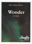 Wonder : For Orchestra (2008).