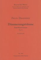 Dämmerungsträme : Fünf Klavierstücke, Op. 14.