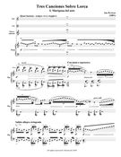 Tres Canciones Sobre Lorca : For Mezzo-Soprano, Flute, Harp and Viola (2001) [Download].